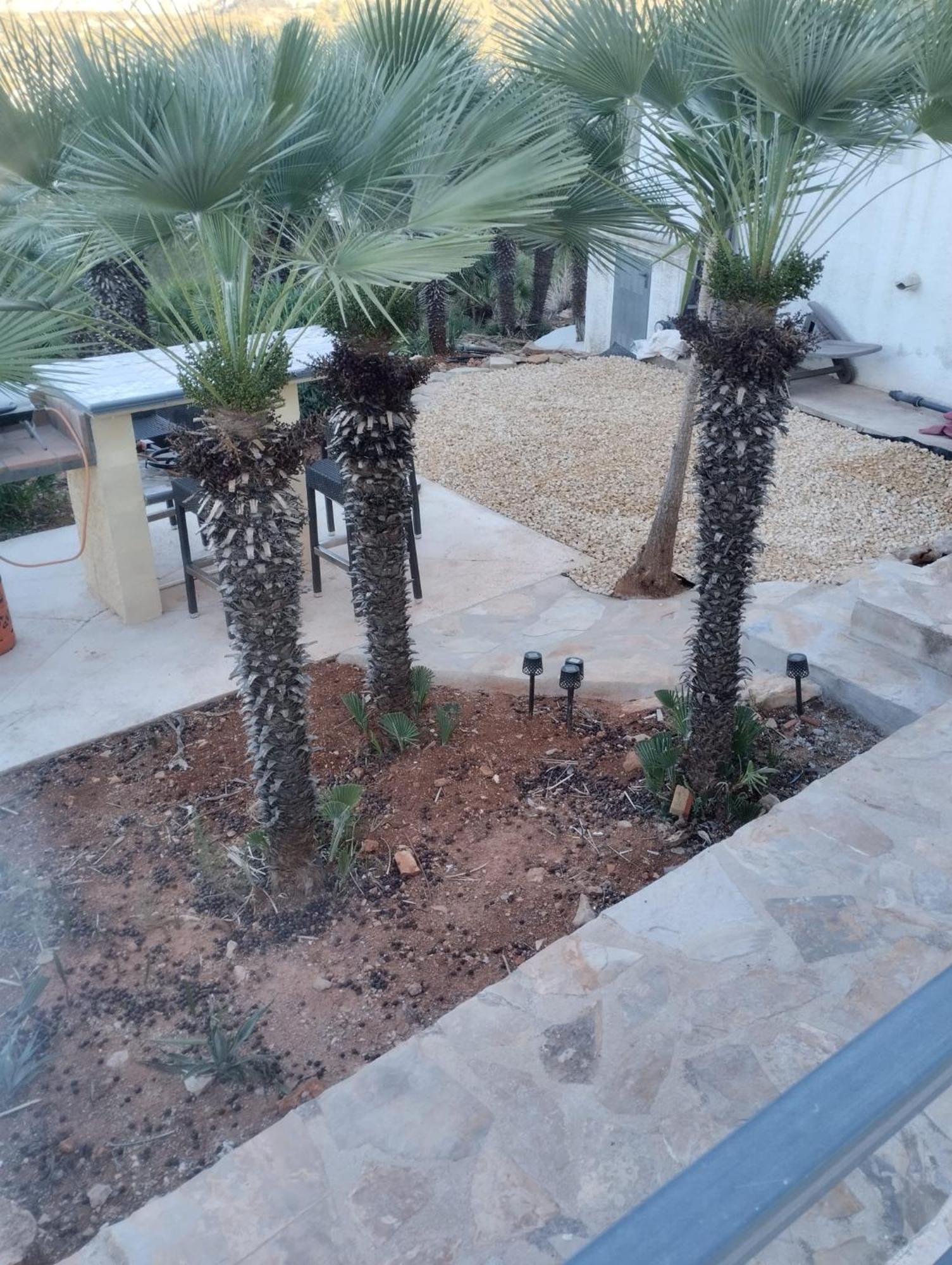 Luxe Appartement Met Tuin Benidoleig Dış mekan fotoğraf