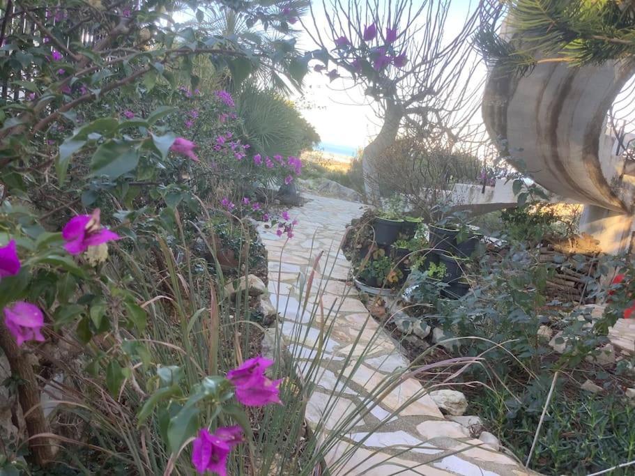 Luxe Appartement Met Tuin Benidoleig Dış mekan fotoğraf